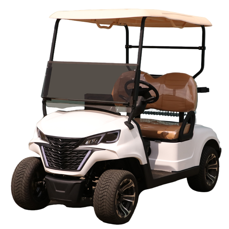 365游戏娱乐平台2座高尔夫球车正侧